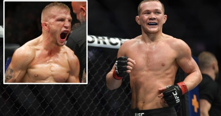 tj dillashaw vs pter yan