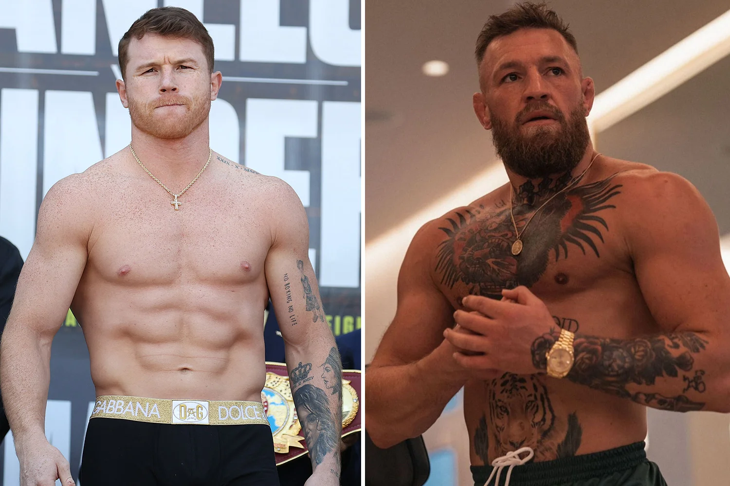 “A Conor McGregor Le Gano Con Una Mano”: ‘Canelo’ Álvarez Le Responde ...